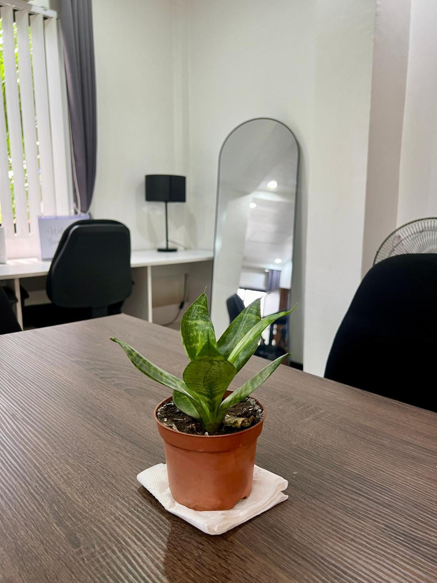 Gia'S Place San Mateo エクステリア 写真