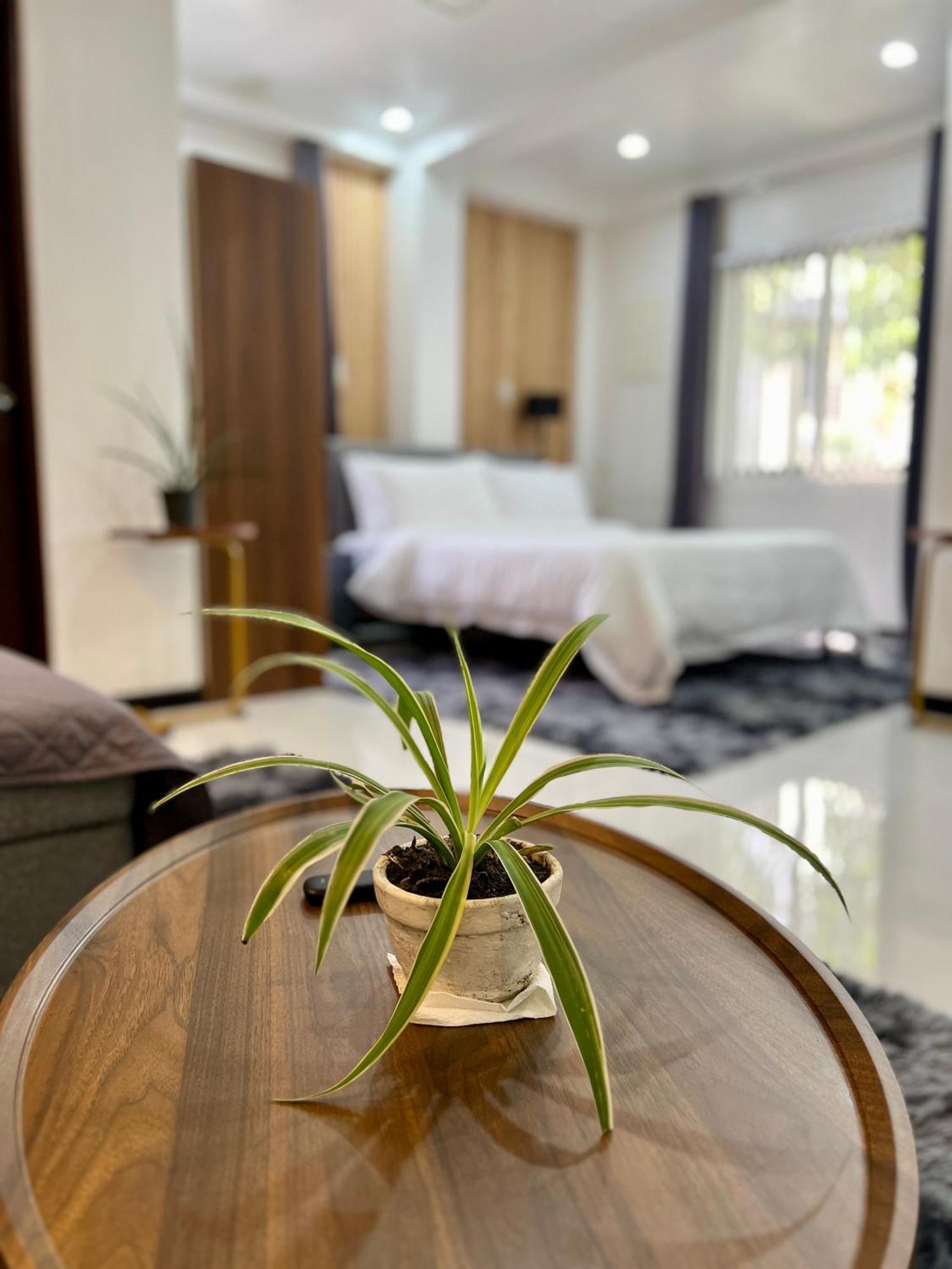 Gia'S Place San Mateo エクステリア 写真